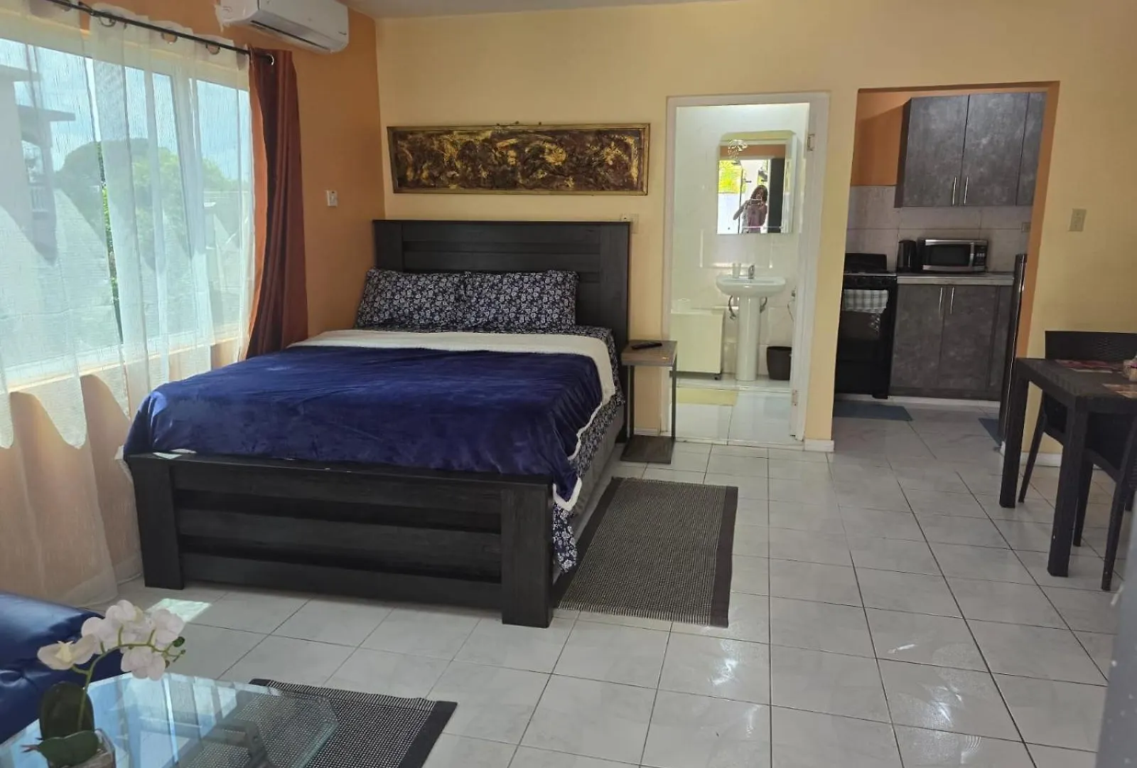 Paradies Apartments 1 Montego Bay Jamaica