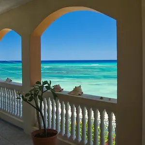 Calypso Jamaica Montego Bay